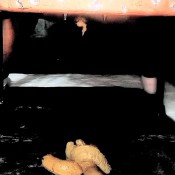 Countess Dionysus Up Close And Personal Poop CountessDionysus