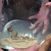 Jana Bellas Special Edition Chocolate Milkshake Janabella Enemas