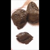 Joy Angeles October2011efrodancing