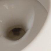 Poogirlsofia Toilet Fetish DiaperGirlSofia