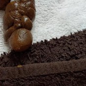 Poogirlsofia Moms Stinky Poo DiaperGirlSofia