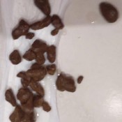 Poogirlsofia Show Dispose And Turned On By Mess DiaperGirlSofia