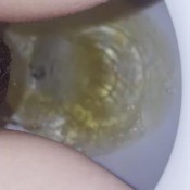 Rosedarlingxxx Dont You Wish You Were My Toilet Rose Darling