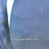 Scat Joyangeles Francesca Salvatore Nature1 Squatsfartstwicethendoesabiglongpooandpee Joy Angeles