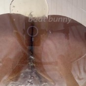 Boatbunny Pov Chair Pee And Poop