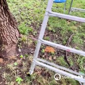 ladder splatter pulsiferpaprocki