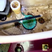 Pulsiferpaprocki Costa Rica Outhouse Shit Pulsifer Paprocki