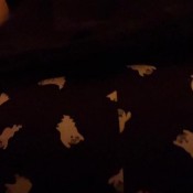 Jessiekaybaby Dutch Oven Fart Slave Pov