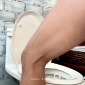 Big Snake In Costa Rica Pulsiferpaprocki