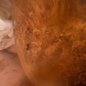 Lyndra Lynn Fresh Shit From My Ass