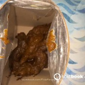 Pulsiferpaprocki Civic Doodie Pulsifer Paprocki