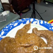 Pulsiferpaprocki Desperate Pounder Pulsifer Paprocki