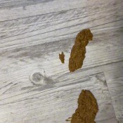 Iamkapri Ass Asmr Kapri Styles