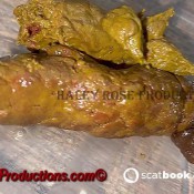 Ladyhaleyroseproductions Crotchless Panties Shitting