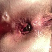 Katherinescatcouple Gassy And Rotten KatherineFarts