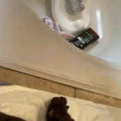 Xajsplashx Big Poop Pov