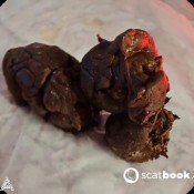 Latsuna Scatbook Exclusive Lady Tsunami