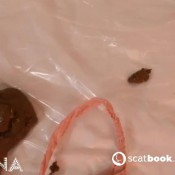 Latsuna Shit Splitter Lady Tsunami