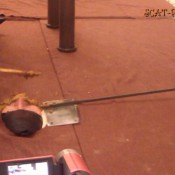 Scat-princess Toilet Has A New Face-1 Diana