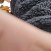 Shirleypimphoes Caught Shitting Outside