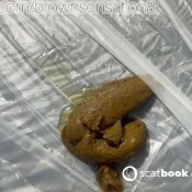 Brownsensations Dirty Panties