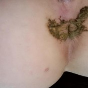 Pov Toilet Slave Humiliation Kitty Skatt Kitty Klitt