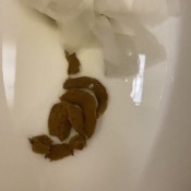 Goddessnixie123 I Was At The Hospital Waiting For My Mom And I Had To Shit Goddess Nixie