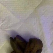 Goddessnixie123 I Want You To Smell My Goddess Shit Goddess Nixie