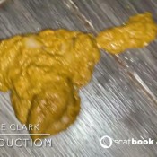 Elle Clark Making Big Messy In Public Bathroom