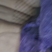 Kittyskatt Two Huge Firm Toilet Logs Kitty Klitt