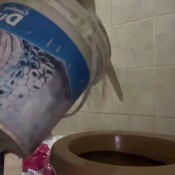 Dulceemarsex Cover The Toilet