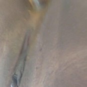 Lostgirlnz Weekend Quick Poop Tasting And Shit Pussy