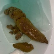 Reignzplayhouse This Shit Feel Amazing Coming Out I Was Moaning In Pleasure I Should Have Recorded It But I Wanted To Enjoy The Feeling Goddess Reign