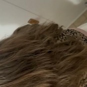 Goddessleanne69 Birds Eye View Finally After A Few Days I Can Poop. Yes Theres Farting And You Can See It Before I Flush