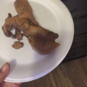 Imscatbitch_ Breakfast Is Served