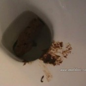 Ana Didovic Ss On The Toilet