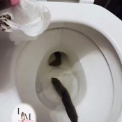 Goddesslolamonae You Dont Deserve This Goddess Lola Monae