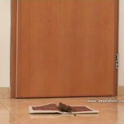 Ana Didovic Hot News