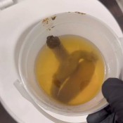 Goddesslolamonae 1 Girl 1 Cup Goddess Lola Monae