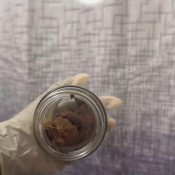 Goddesslolamonae Suprise Jar Turd Goddess Lola Monae