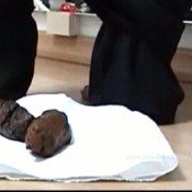 Ana Didovic A Focus Poo