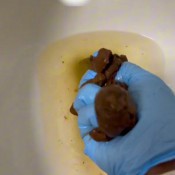 Goddesslolamonae Shitting At Work P2 Goddess Lola Monae