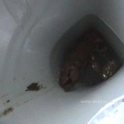 Ana Didovic Another Titanic Turd