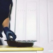 Vidafoxx Baking Chocolate Chip Poop Brownies