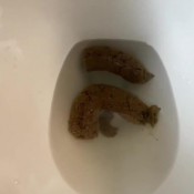 Selena Ryan This Burrito Makes Me Shit Jerk For My Poop And Fuck My Shitty Asshole