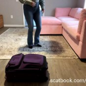 I Shit In Your Suitcase Thebrooknextdoor