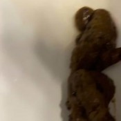 Iamkapri I Ate 10 Hard Boiled Eggs For Stinky Egg Shit Kapri Styles