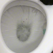 Fart Pumpkin Pooping Halloween Is Coming Dirty_kitty