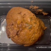 I Pooped In My Panties Again Thebrooknextdoor