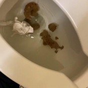 Goddessnixie123 Mmm It Felt Good To Push This Slave Food Out Of My Shithole Today. Fuck That Goddess Nixie